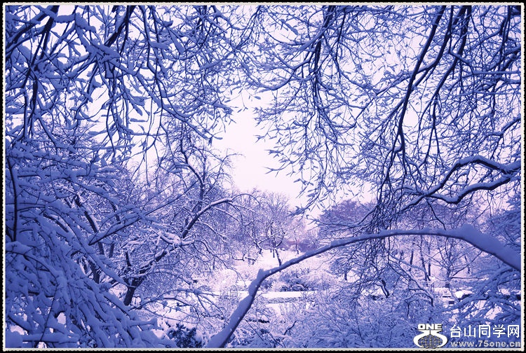 ѩ02.jpg