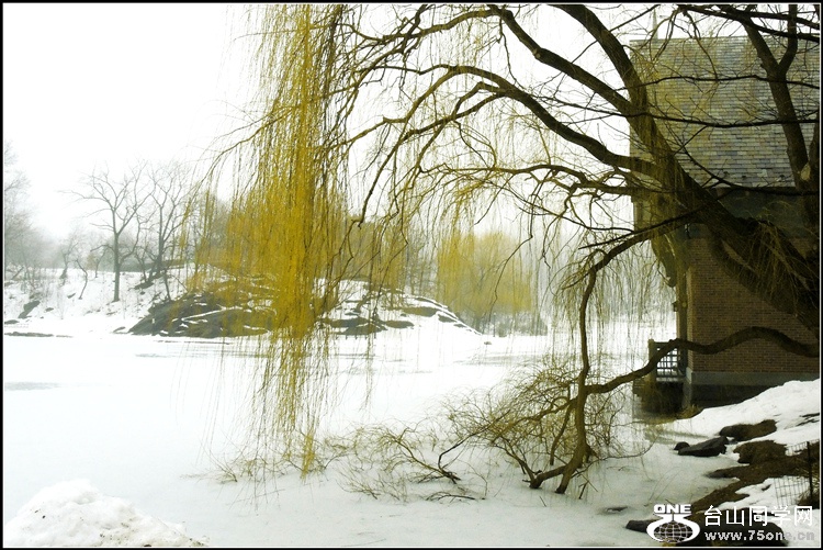 DSCN0464_.jpg