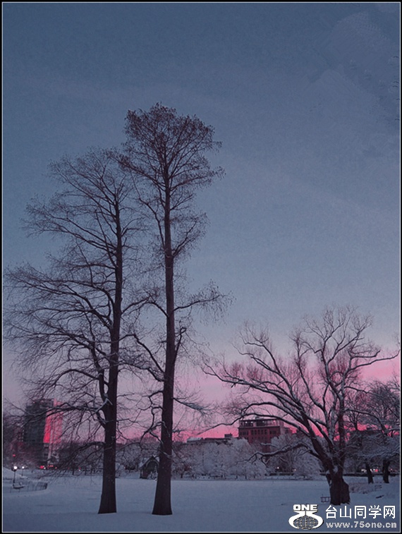 DSCN0006_.jpg