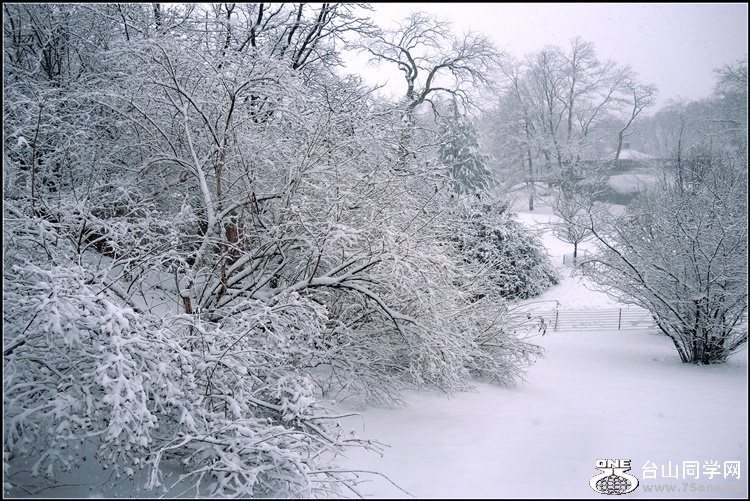 DSCN9815__.jpg