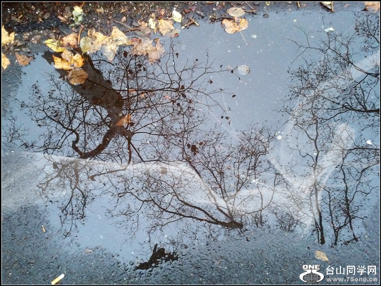 20141206_084438__.jpg