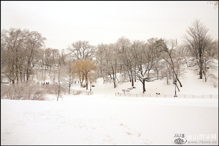 DSCN6013_.jpg
