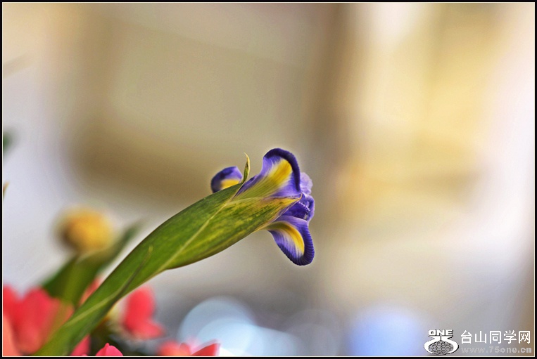 DSC_5737.jpg