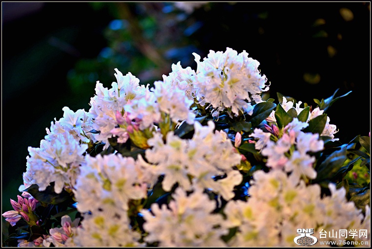 DSC_5653.jpg