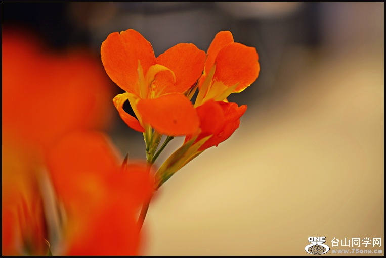DSC_5749.jpg