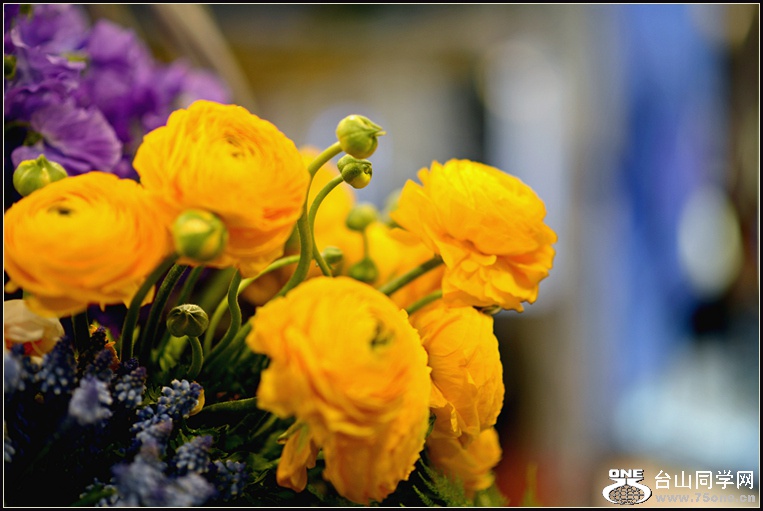 DSC_5675.jpg