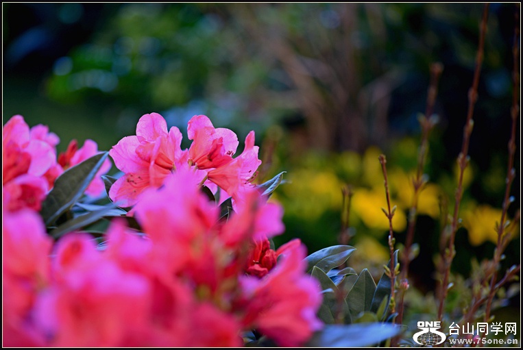 DSC_5661.jpg