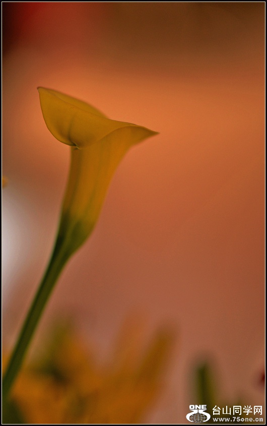 DSC_5727.jpg