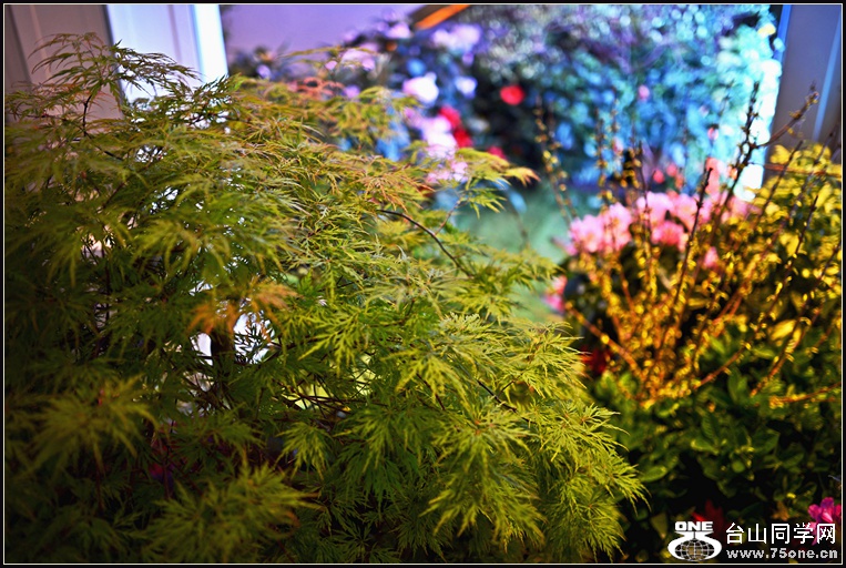 DSC_5645.jpg