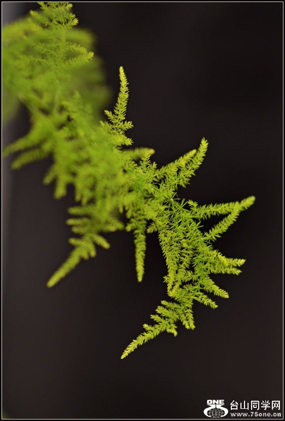 DSC_5679.jpg