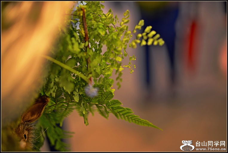DSC_5717.jpg