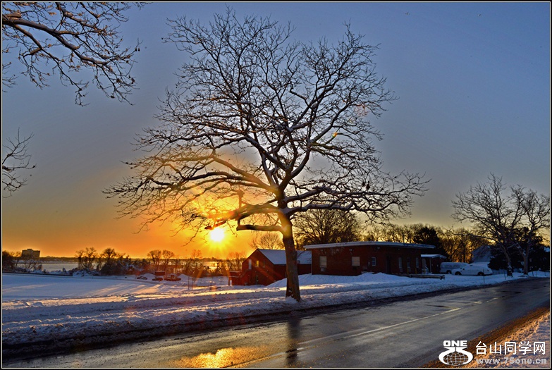 DSC_2362_1.jpg