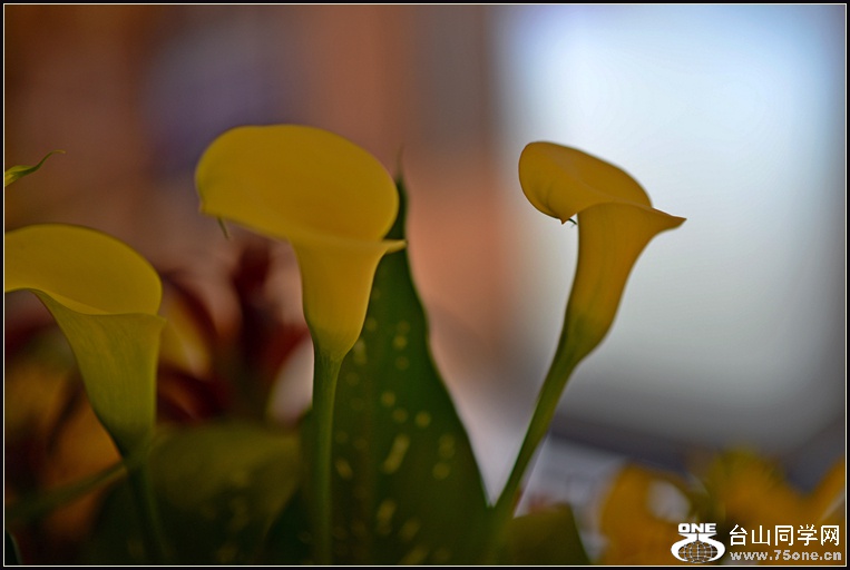 DSC_5725.jpg