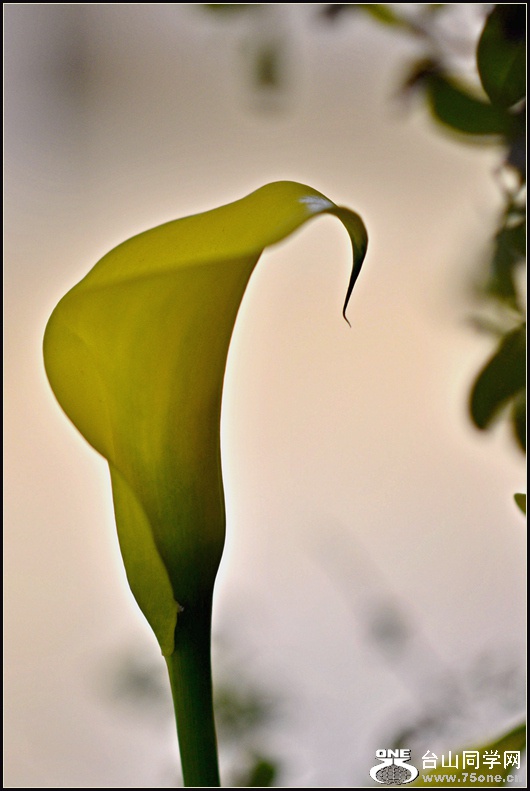 DSC_5732.jpg