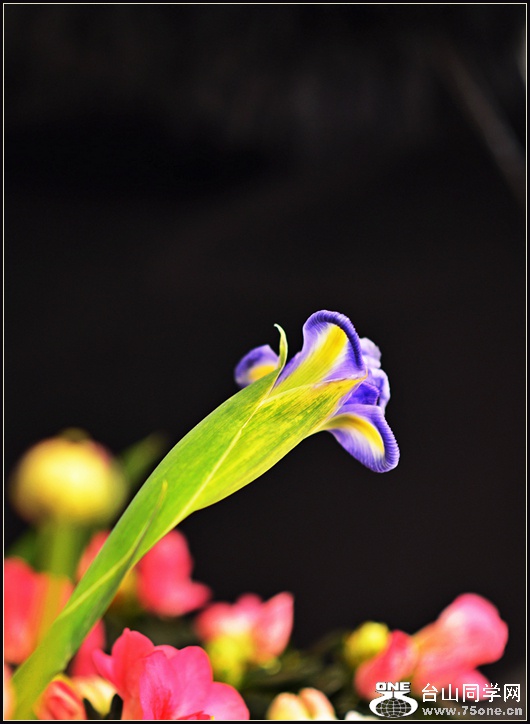 DSC_5736.jpg