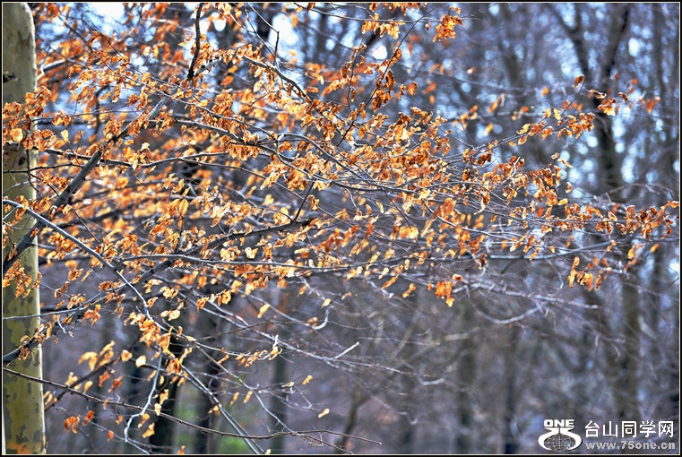 DSC_3909.jpg