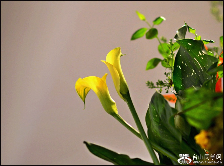 DSC_5878_1.jpg