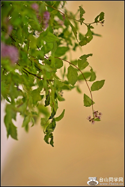 DSC_5744.jpg