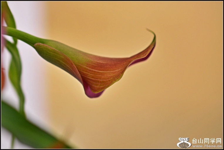 DSC_5743.jpg