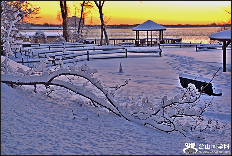 DSC_2134.jpg