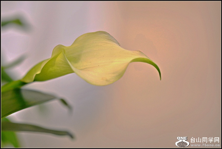 DSC_5742.jpg