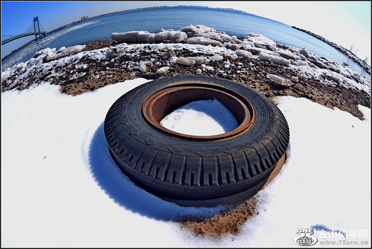 DSC_0730.jpg