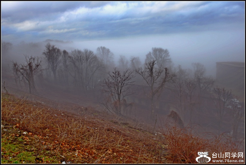 DSC_6636.jpg