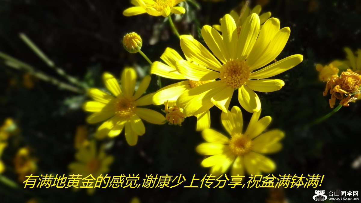 ɫ,ػƽĸо,лϴ,ף!.jpg