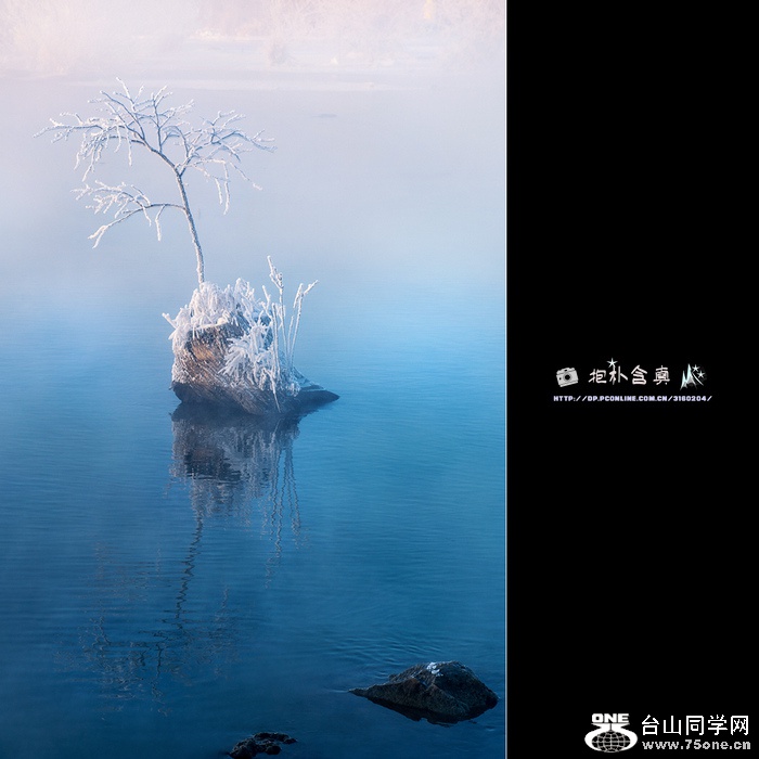DSC_9887s.jpg