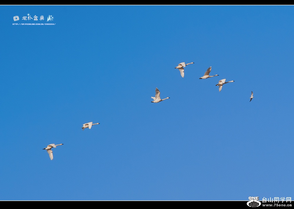 DSC_7764s.jpg