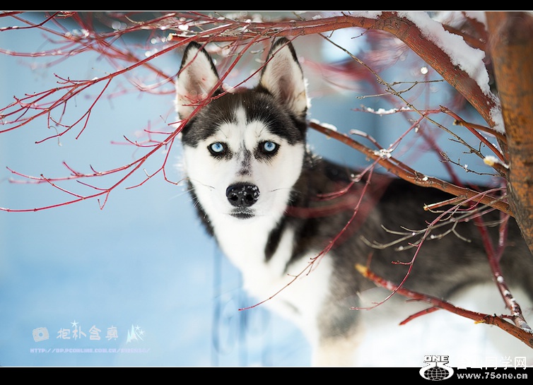 DSC_5884s.jpg