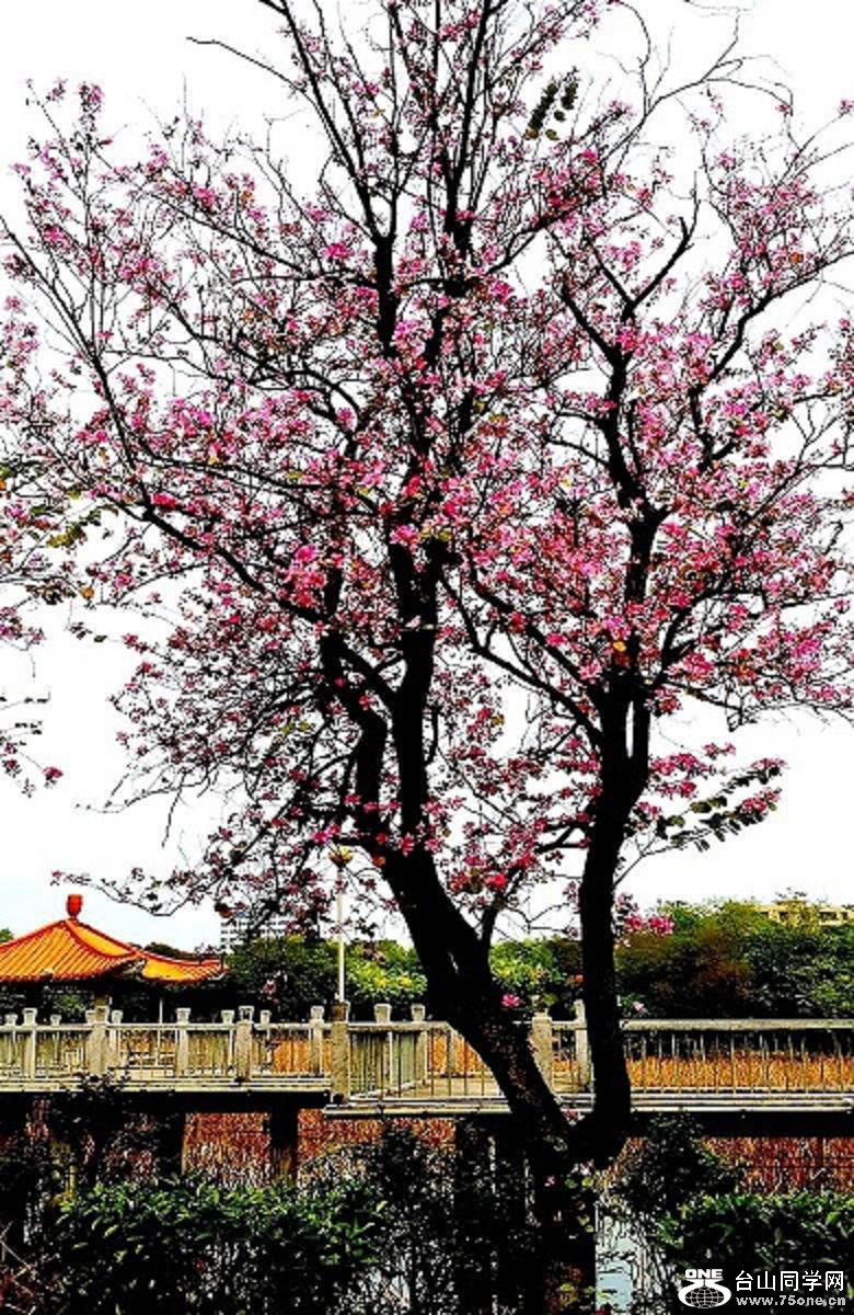 2015-03-21 12.08.52.jpg