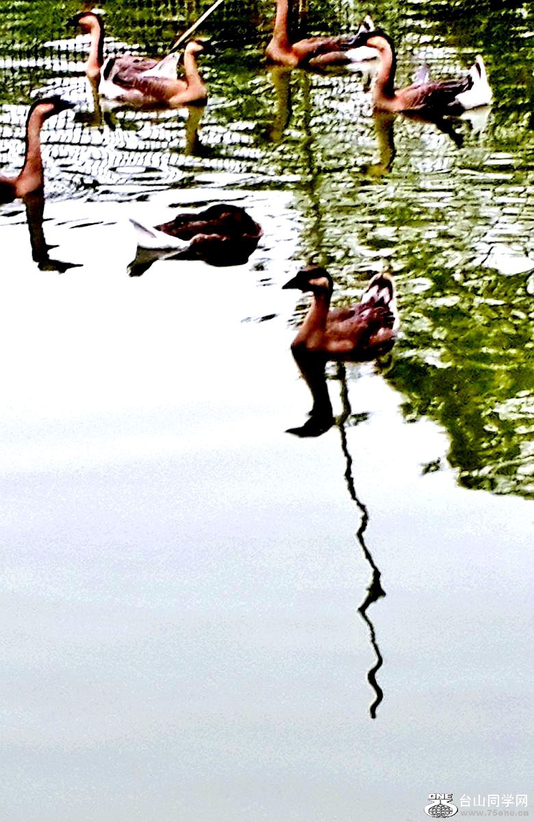 2015-03-21 16.39.50.jpg