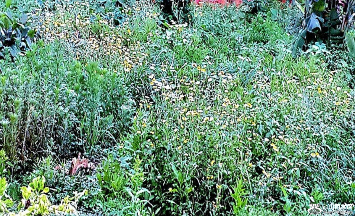 2015-03-21 16.38.17.jpg