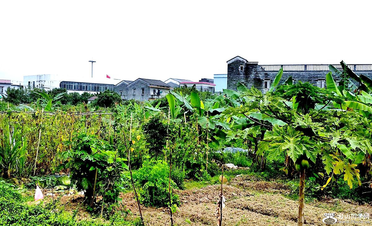 2015-03-21 16.38.38.jpg