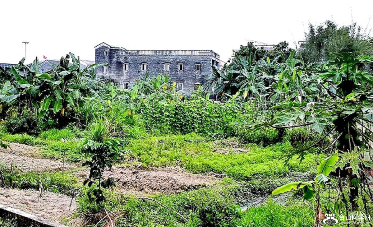 2015-03-21 16.39.07.jpg