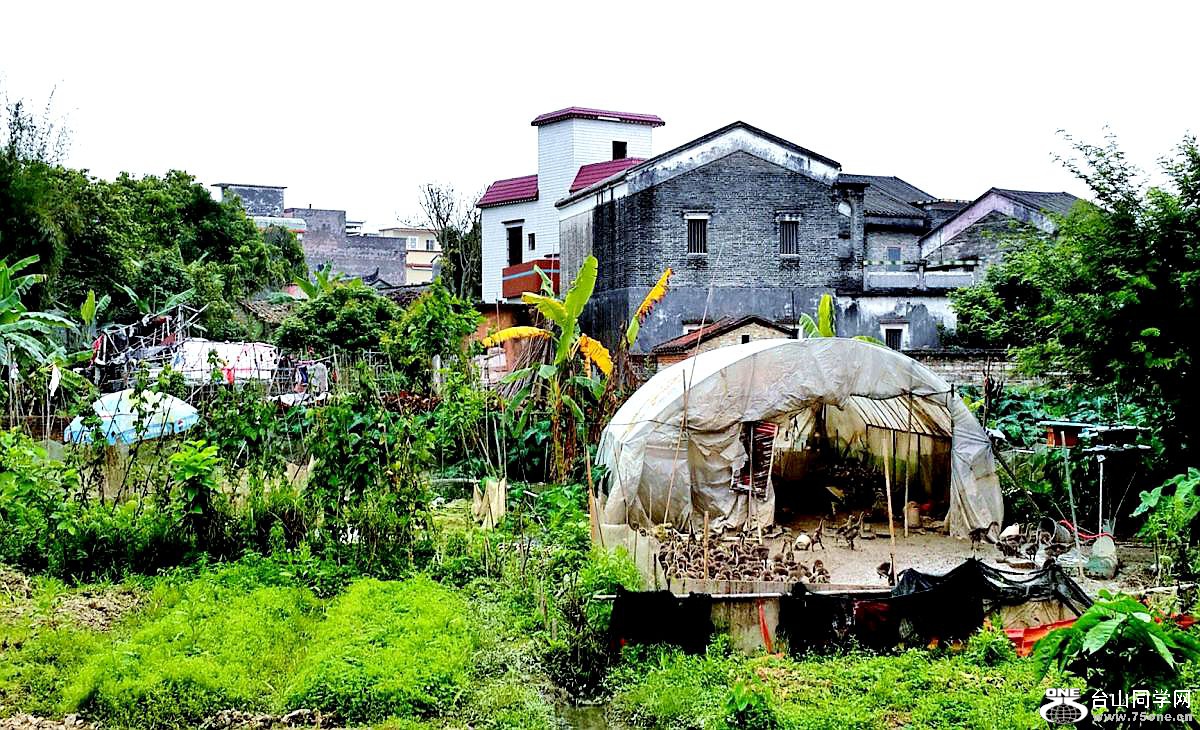 2015-03-21 16.38.52.jpg