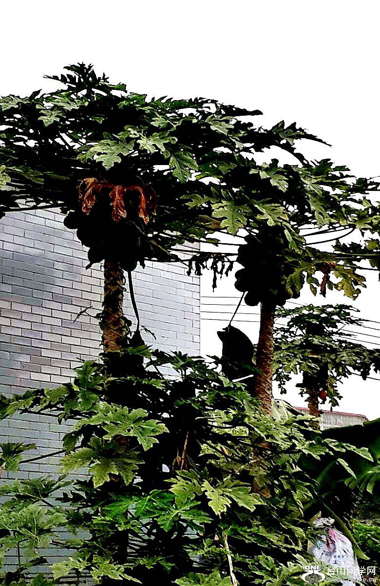 2015-03-21 16.37.57.jpg