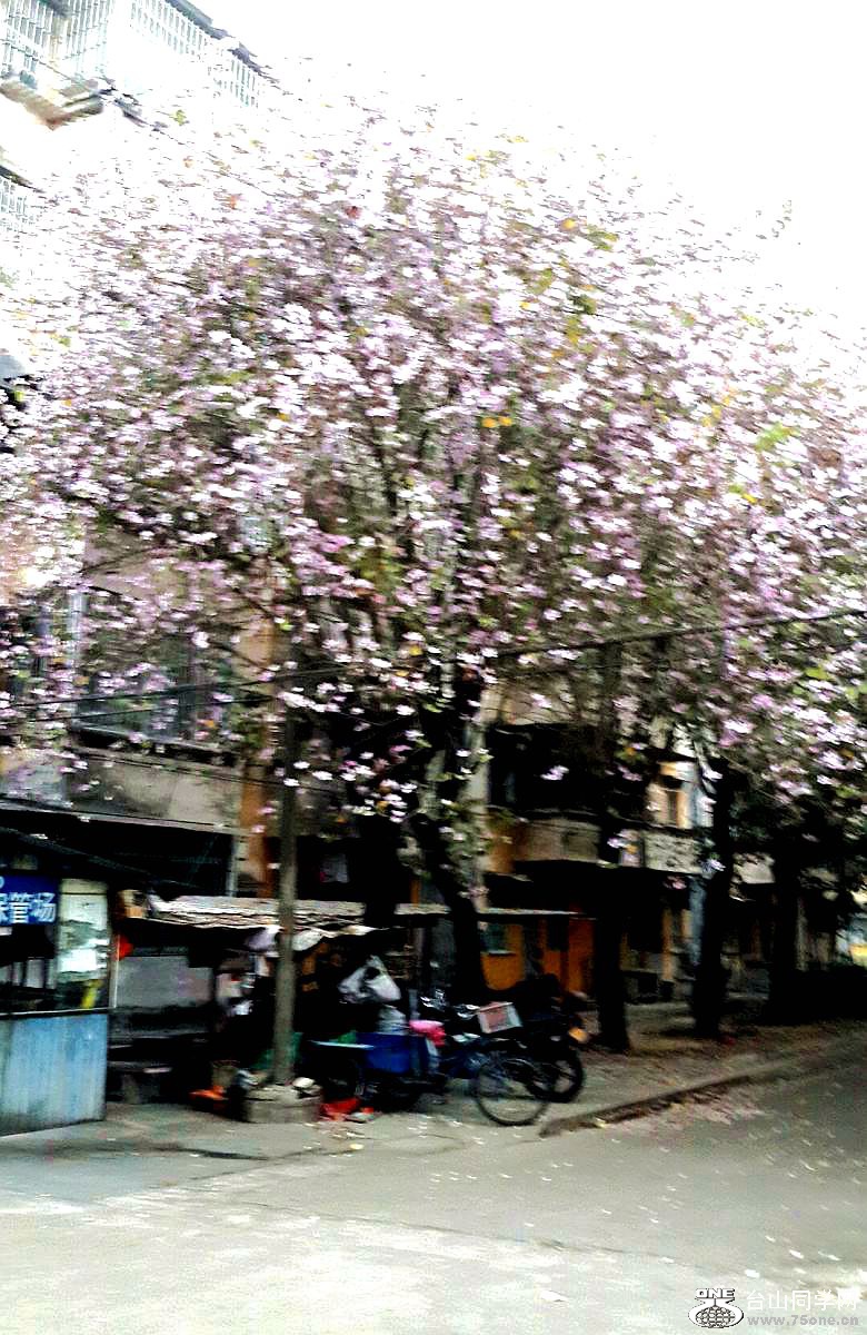 2015-03-21 18.28.59.jpg