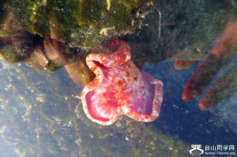 new folder 132_����.jpg