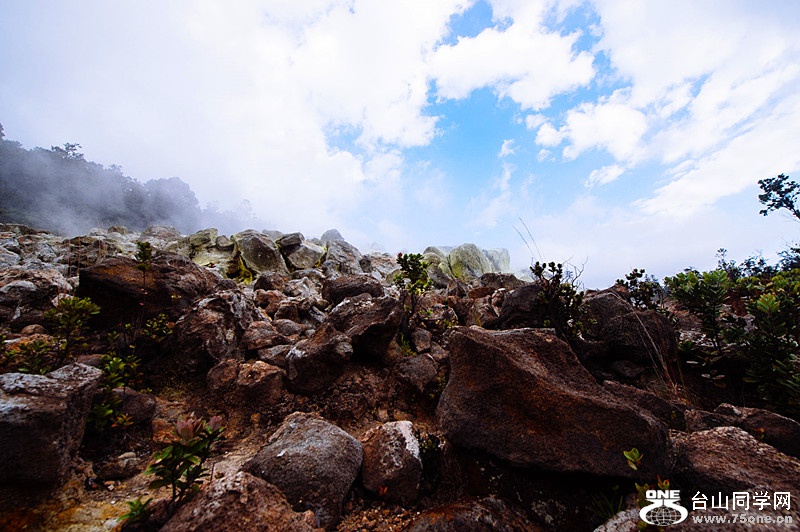 140219-yan&amp;zinaria-HA_4947 iPad Retina_����.jpg