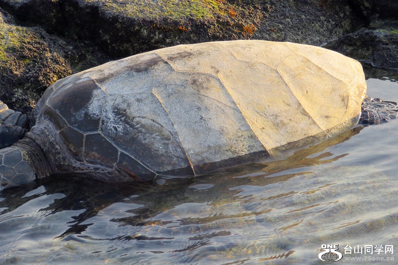 new folder 130_����.jpg