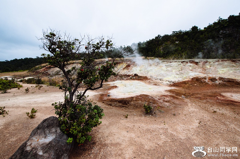 140219-yan&amp;zinaria-HA_4942 iPad Retina_����.jpg