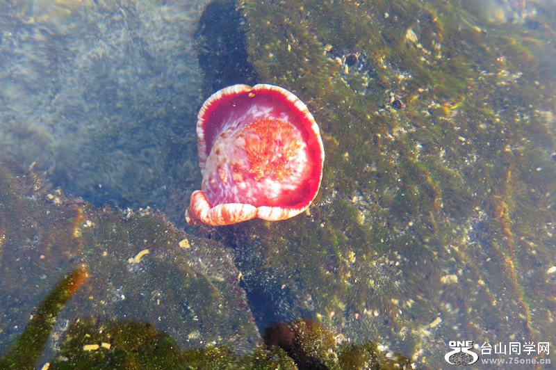 new folder 131_����.jpg