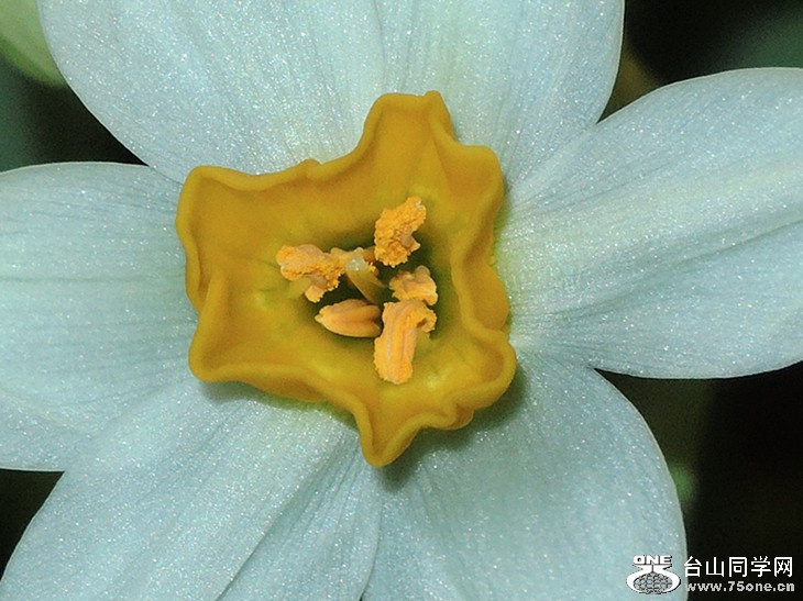 DSCN5733_.jpg
