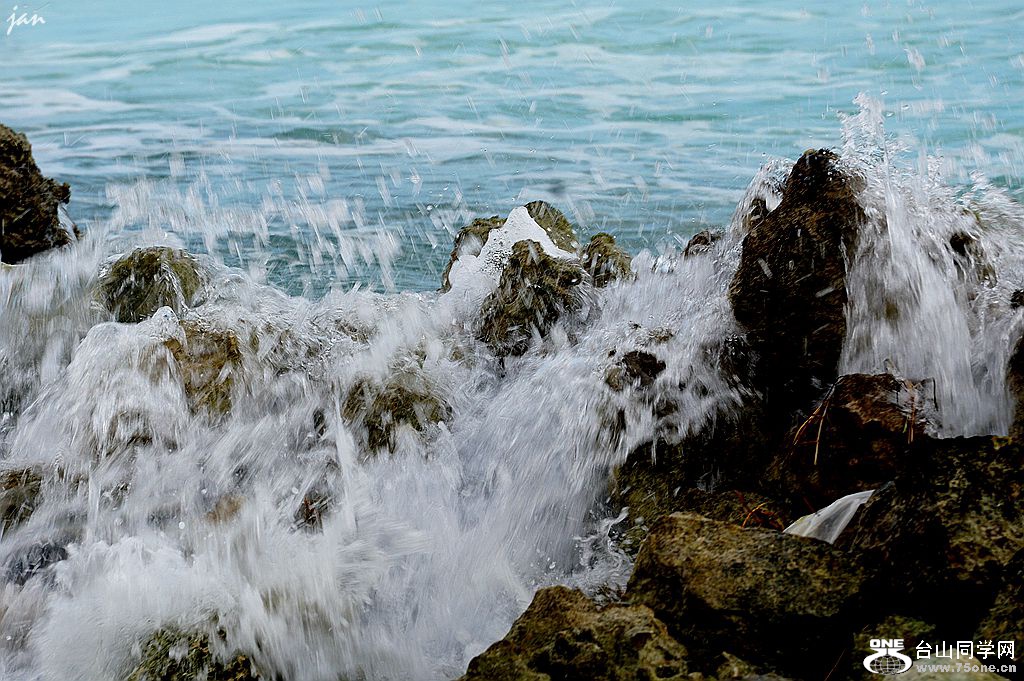 DSC03356_.jpg