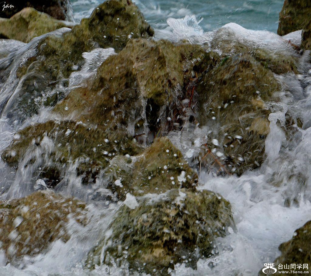 DSC03358__.jpg