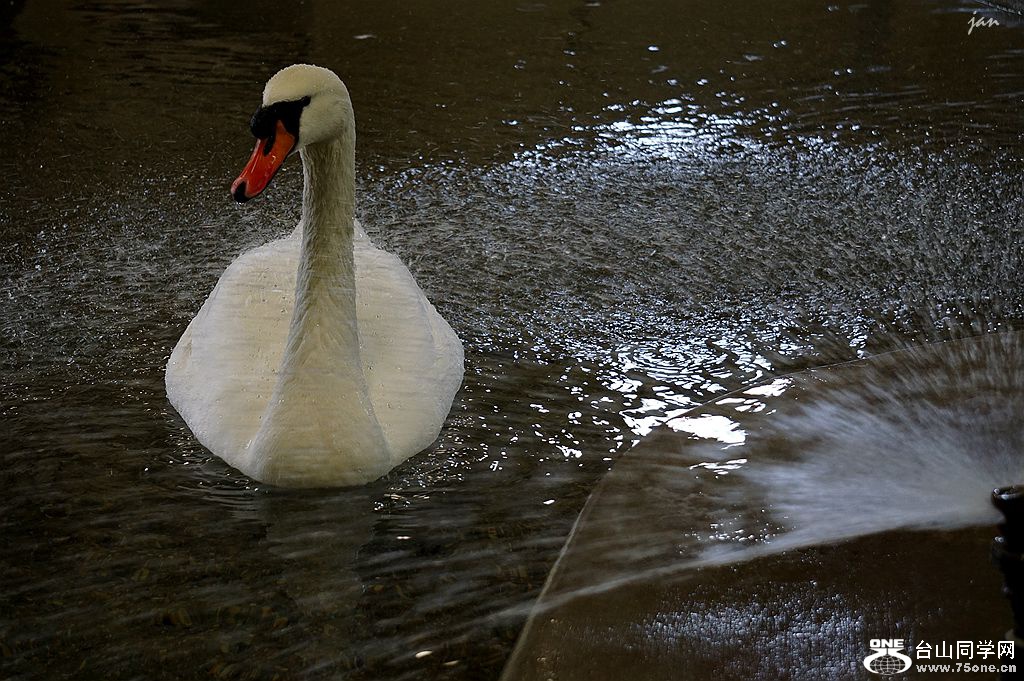 DSC03813_.jpg