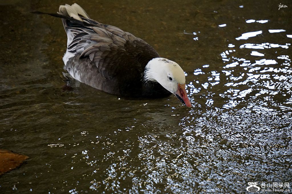 DSC03810.JPG