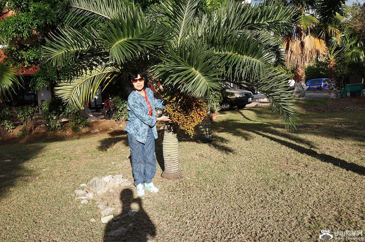 DSC02533=.jpg